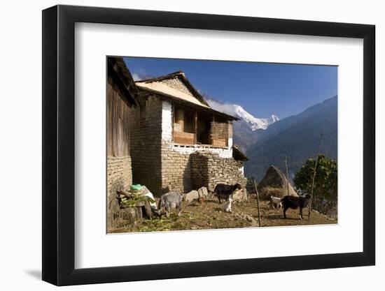 Ulleri Village, 2080 Metres, Annapurna Himal, Nepal, Himalayas, Asia-Ben Pipe-Framed Photographic Print