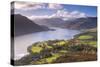 Ullswater from Gowbarrow Fell, Lake District National Park, Cumbria, England. Autumn-Adam Burton-Stretched Canvas