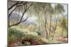 Ullswater from Gowbarrow Park, 1864-Alfred William Hunt-Mounted Giclee Print