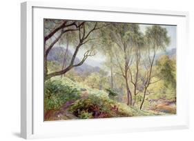 Ullswater from Gowbarrow Park, 1864-Alfred William Hunt-Framed Giclee Print