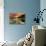 Ullswater-Mel Allen-Stretched Canvas displayed on a wall