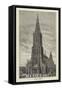 Ulm Cathedral-null-Framed Stretched Canvas