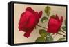 Ulrich Bruner Red Roses-null-Framed Stretched Canvas