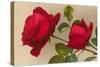 Ulrich Bruner Red Roses-null-Stretched Canvas