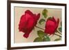 Ulrich Bruner Red Roses-null-Framed Art Print