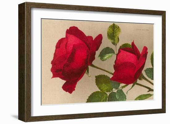 Ulrich Bruner Red Roses-null-Framed Art Print