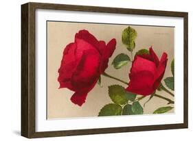 Ulrich Bruner Red Roses-null-Framed Art Print