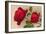 Ulrich Bruner Red Roses-null-Framed Art Print