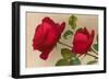 Ulrich Bruner Red Roses-null-Framed Art Print