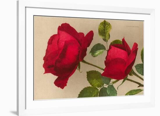 Ulrich Bruner Red Roses-null-Framed Premium Giclee Print