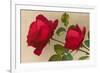 Ulrich Bruner Red Roses-null-Framed Premium Giclee Print