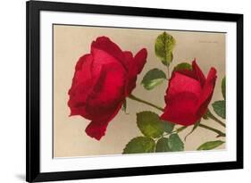 Ulrich Bruner Red Roses-null-Framed Premium Giclee Print