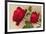 Ulrich Bruner Red Roses-null-Framed Premium Giclee Print