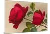 Ulrich Bruner Red Roses-null-Mounted Premium Giclee Print