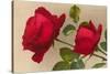 Ulrich Bruner Red Roses-null-Stretched Canvas