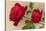 Ulrich Bruner Red Roses-null-Stretched Canvas