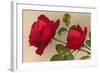 Ulrich Bruner Red Roses-null-Framed Art Print