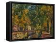 Framed Canvas
