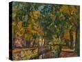Stretched Canvas