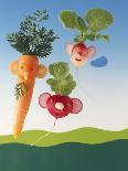 Amusing Carrot and Radish Figures-Ulrich Kerth-Laminated Photographic Print