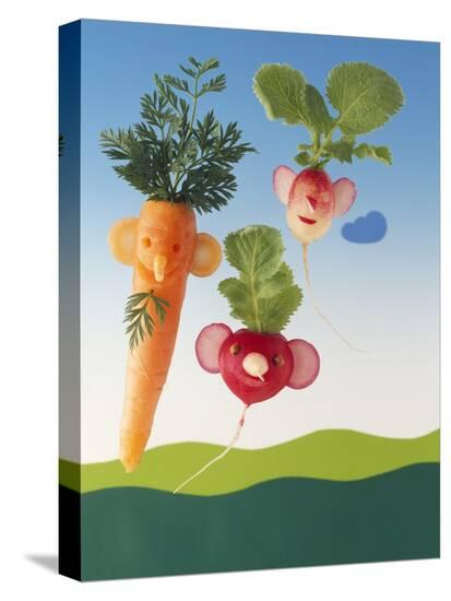 Stretched Canvas Print, , large