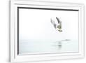 Gramercy White