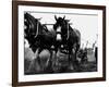 Ulster Clydesdale Pulling a Plough, July 1983-null-Framed Photographic Print