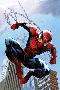 Ultimate Spider-Man No.156 Cover: Spider-Man Jumping-Mark Bagley-Lamina Framed Poster