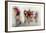 Ultimo Giro #2-Lou Urlings-Framed Giclee Print