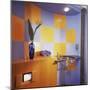 Ultra Modern Bathroom-null-Mounted Photographic Print