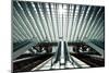 Ultra Modern Train Station in Liege, Belgium-telesniuk-Mounted Photographic Print