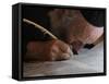 Ultra-Orthodox Jew Writes Some of the Last Words in a Torah Scroll-null-Framed Stretched Canvas