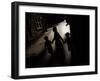 Ultra-Orthodox Jewish Children Walk in a Street in the Mea Shearim Neighborhood in Jerusalem-null-Framed Photographic Print