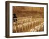 Ultra-Orthodox Jewish Man Sits During a Procession Bringing a Torah Scroll from the Western Wall-null-Framed Photographic Print