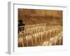 Ultra-Orthodox Jewish Man Sits During a Procession Bringing a Torah Scroll from the Western Wall-null-Framed Photographic Print