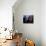 Ultra-Orthodox Jewish Men Stand Next to a Well as They Fill Canisters with Water in Jerusalem-null-Stretched Canvas displayed on a wall