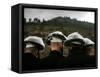 Ultra-Orthodox Maim Shelanoo Ceremony, Jerusalem, Israel-Oded Balilty-Framed Stretched Canvas