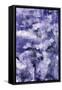 Ultra Violet 2-Summer Tali Hilty-Framed Stretched Canvas