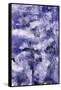 Ultra Violet 2-Summer Tali Hilty-Framed Stretched Canvas