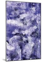 Ultra Violet 2-Summer Tali Hilty-Mounted Giclee Print