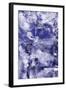 Ultra Violet 3-Summer Tali Hilty-Framed Giclee Print