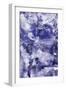 Ultra Violet 3-Summer Tali Hilty-Framed Giclee Print