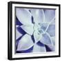 Ultra Violet I-Jason Johnson-Framed Photographic Print