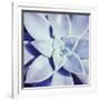 Ultra Violet I-Jason Johnson-Framed Photographic Print