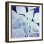 Ultra Violet II-Jason Johnson-Framed Photographic Print