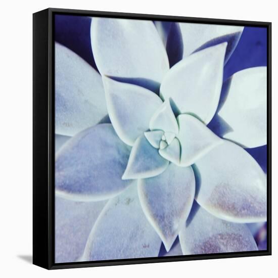 Ultra Violet II-Jason Johnson-Framed Stretched Canvas