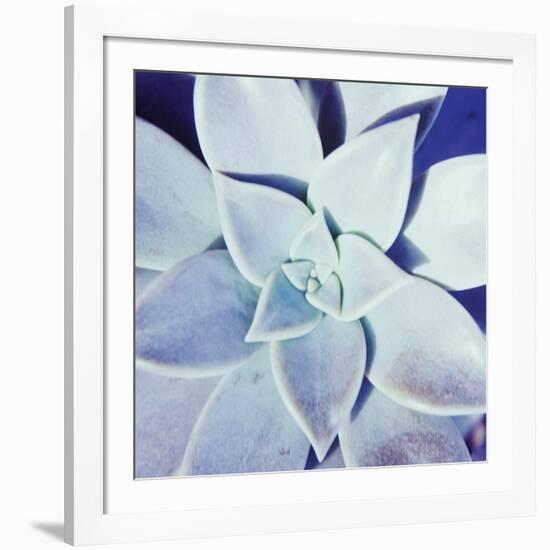 Ultra Violet II-Jason Johnson-Framed Photographic Print