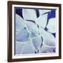 Ultra Violet II-Jason Johnson-Framed Photographic Print