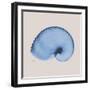 Ultramarine Argonaut-Albert Koetsier-Framed Photographic Print