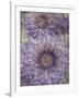 Ultraviolet-Collezione Botanica-Framed Giclee Print